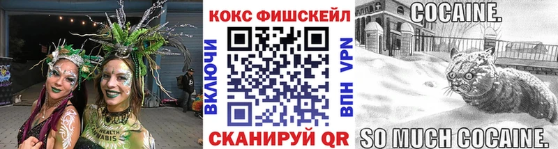 Cocaine Эквадор  Купить  Новый Оскол 